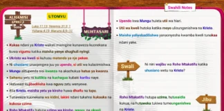 Kuunganishwa na Mzabibu somo la Shule ya Sabato likionyesha uhusiano na Kristo kupitia Roho Mtakatifu