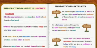 Cover image for Lesson 8 Overview, highlighting Christ's resurrection, Christian faith, hope, and eternal life