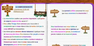 Étude du mercredi de la Leçon 8 expliquant la promesse biblique d’un corps ressuscité, glorieux et impérissable